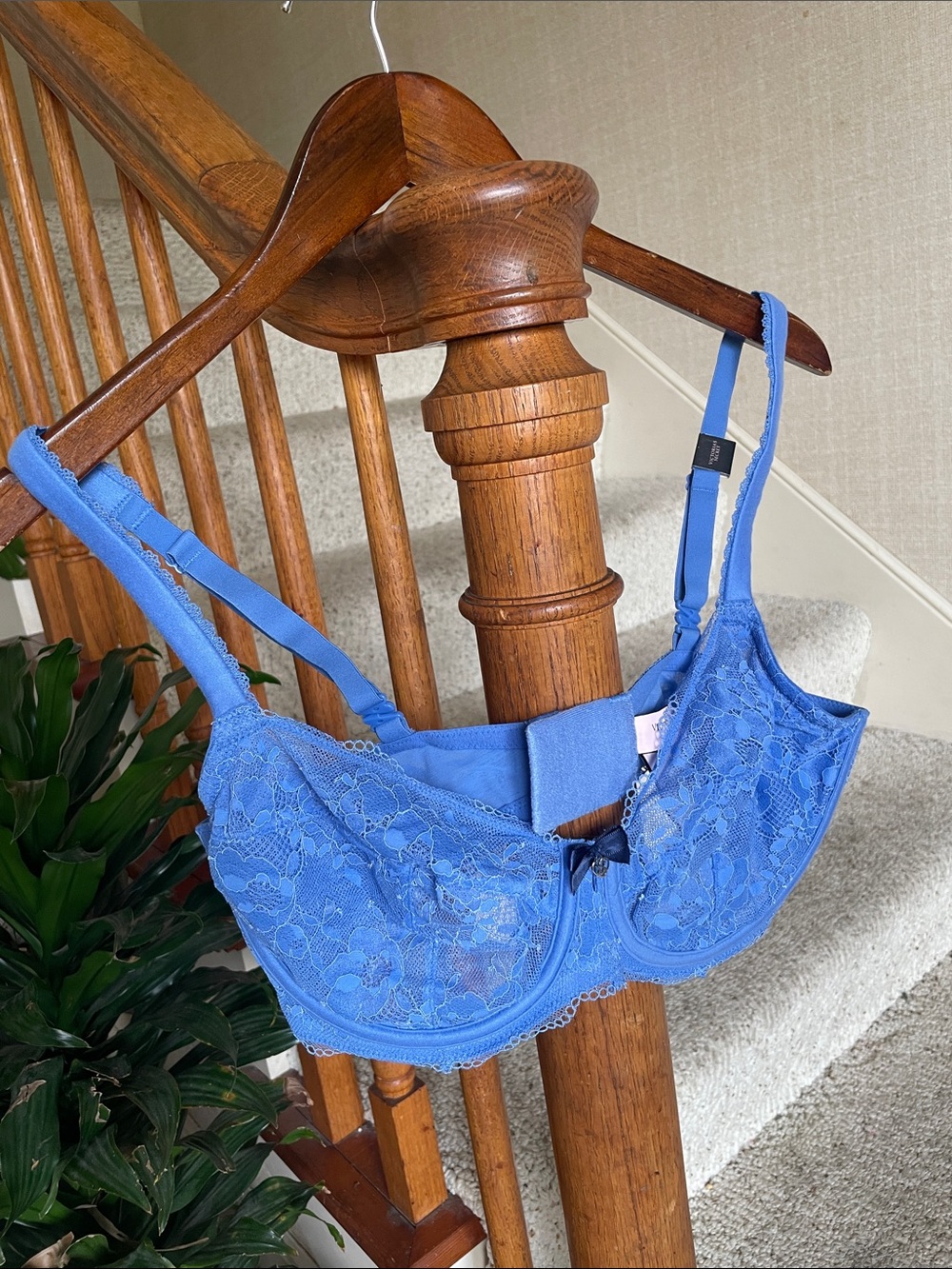 Victoria's Secret Royal Blue Lace Underwire Bra 36DD NWT